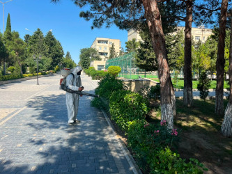 Xəzər rayonunda növbəti iməclik keçirilmişdir