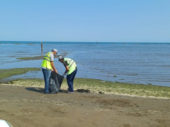Növbəti genişmiqyaslı ümumrayon iməcliyi keçirilib