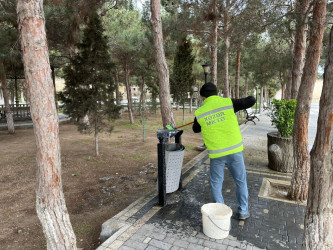 Xəzər rayonunda növbəti ümumrayon iməcliyi keçirilib