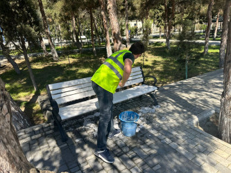 Xəzər rayonunda növbəti genişmiqyaslı iməclik keçirilib