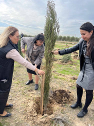 Xəzər rayonunda növbəti ağacəkmə aksiyası keçirilib