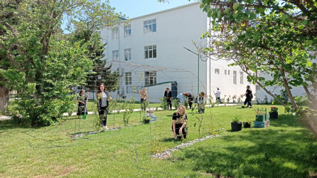 Xəzər rayonunda növbəti genişmiqyaslı ümumrayon iməcliyi keçirilib