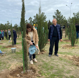 Xəzər rayonunda növbəti ağacəkmə aksiyası keçirilib