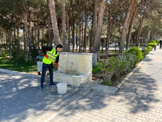 Xəzər rayonunda növbəti genişmiqyaslı təmizlik və abadlıq işləri həyata keçirilib
