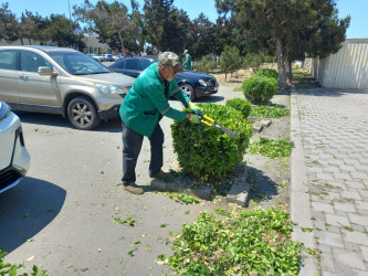 Xəzər rayonunda “WUF13” – Ümumdünya Şəhərsalma Forumu çərçivəsində abadlıq və yaşıllaşdırma tədbirləri davam etdirilir