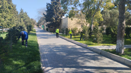 Xəzər rayonunda növbəti genişmiqyaslı təmizlik və abadlıq işləri həyata keçirilib