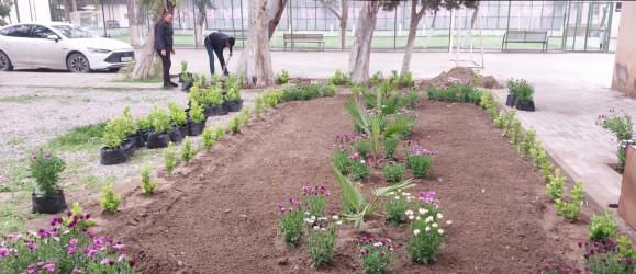 Xəzər rayonunda növbəti genişmiqyaslı təmizlik və abadlıq işləri həyata keçirilib