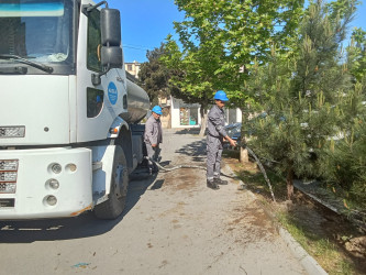 Xəzər rayonunda növbəti genişmiqyaslı təmizlik və abadlıq işləri həyata keçirilib