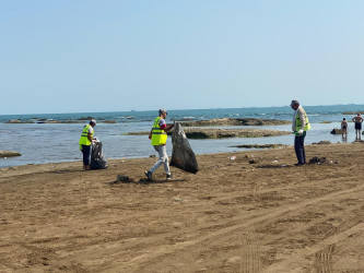 Növbəti genişmiqyaslı ümumrayon iməcliyi keçirilib