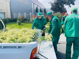Xəzər rayonunda “WUF13” – Ümumdünya Şəhərsalma Forumu çərçivəsində abadlıq və yaşıllaşdırma tədbirləri davam etdirilir