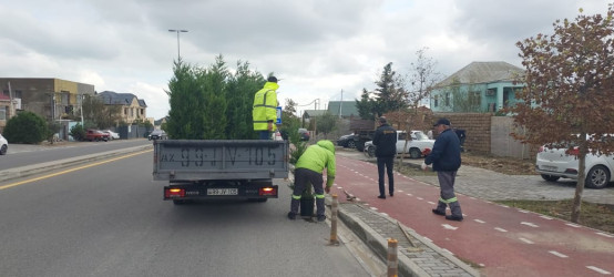 Xəzər rayonunda “Yaşıl dünya naminə həmrəylik ili” çərçivəsində ağacəkmə tədbirləri davam etdirilir