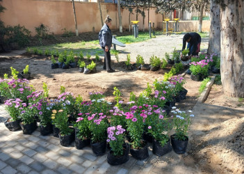 Xəzər rayonunda növbəti genişmiqyaslı təmizlik və abadlıq işləri həyata keçirilib