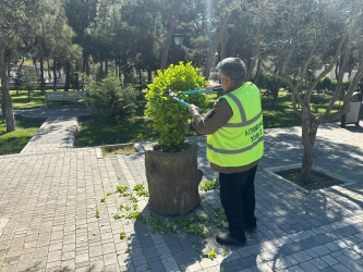 Xəzər rayonunda növbəti genişmiqyaslı təmizlik və abadlıq işləri həyata keçirilib
