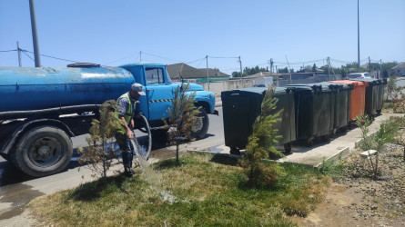 Növbəti genişmiqyaslı ümumrayon iməcliyi keçirilib