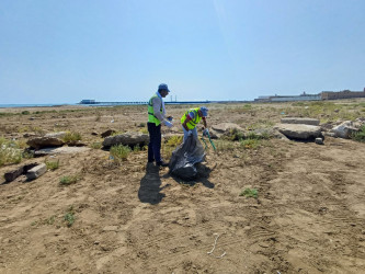 Növbəti genişmiqyaslı ümumrayon iməcliyi keçirilib