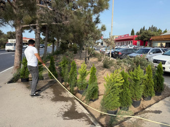 Xəzər rayonunda abadlıq-quruculuq və təmizlik işləri davam etdirilir