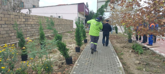 Xəzər rayonunda “Yaşıl dünya naminə həmrəylik ili” çərçivəsində ağacəkmə tədbirləri davam etdirilir