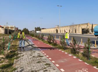Xəzər rayonunda növbəti genişmiqyaslı ümumrayon iməciliyi keçirilib