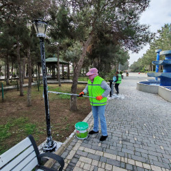 Xəzər rayonunda növbəti ümumrayon iməcliyi keçirilib