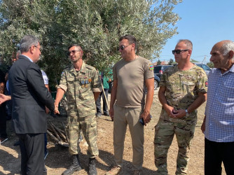 Xəzər rayonunda 27 sentyabr- Anım gününə həsr olunmuş ağacəkmə aksiyası keçirilib