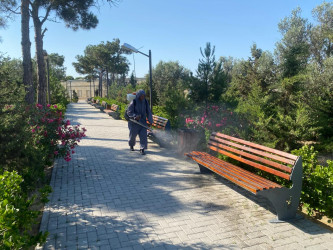 Xəzər rayonunda növbəti genişmiqyaslı iməclik keçirilib