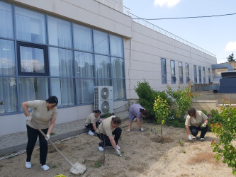 Xəzər rayonunda növbəti genişmiqyaslı ümumrayon iməcliyi keçirilib