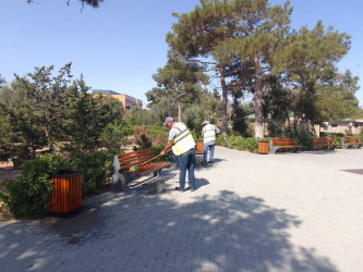 Növbəti genişmiqyaslı ümumrayon iməcliyi keçirilib