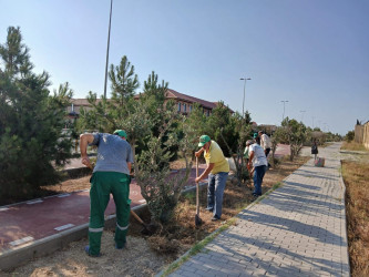 Növbəti genişmiqyaslı ümumrayon iməcliyi keçirilib