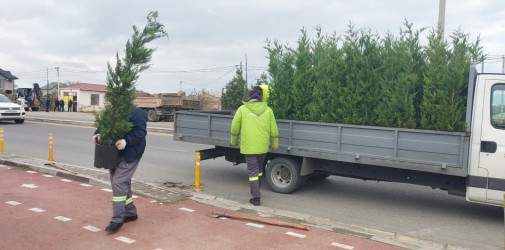 Xəzər rayonunda “WUF13” – Ümumdünya Şəhərsalma Forumu çərçivəsində abadlıq və yaşıllaşdırma tədbirləri davam etdirilir