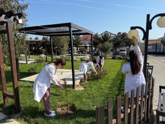 Xəzər rayonunda növbəti genişmiqyaslı təmizlik və abadlıq işləri həyata keçirilib