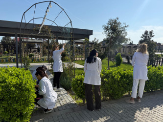 Xəzər rayonunda növbəti genişmiqyaslı təmizlik və abadlıq işləri həyata keçirilib