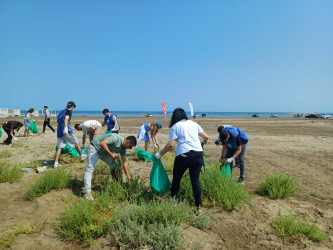 Növbəti genişmiqyaslı ümumrayon iməcliyi keçirilib