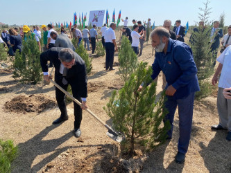 Xəzər rayonunda 27 sentyabr- Anım gününə həsr olunmuş ağacəkmə aksiyası keçirilib
