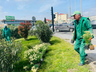 Xəzər rayonunda “WUF13” – Ümumdünya Şəhərsalma Forumu çərçivəsində abadlıq və yaşıllaşdırma tədbirləri davam etdirilir