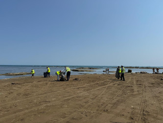 Növbəti genişmiqyaslı ümumrayon iməcliyi keçirilib