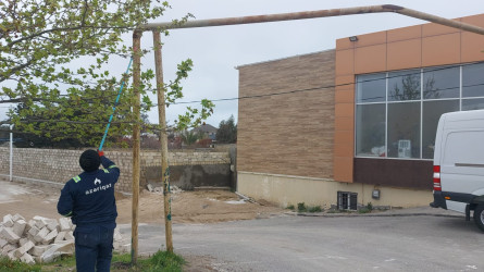 Xəzər rayonunda “WUF13” – Ümumdünya Şəhərsalma Forumu çərçivəsində abadlıq və yaşıllaşdırma tədbirləri davam etdirilir