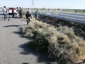 Xəzər rayonunun Binə və Qala qəsəbələri ərazisində  növbəti iməcilik keçirilmişdir