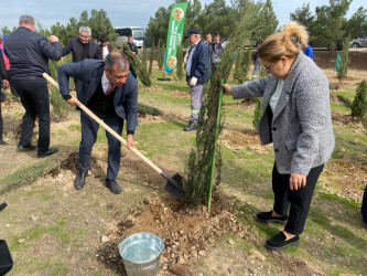 Xəzər rayonunda növbəti ağacəkmə aksiyası keçirilib