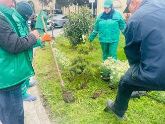 Xəzər rayonunda “WUF13” – Ümumdünya Şəhərsalma Forumu çərçivəsində abadlıq və yaşıllaşdırma tədbirləri davam etdirilir