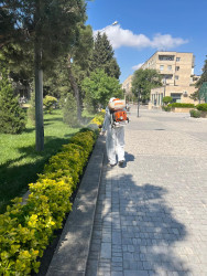 Xəzər rayonunda növbəti genişmiqyaslı təmizlik və abadlıq işləri həyata keçirilib