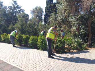 Xəzər rayonunda növbəti iməclik keçirilmişdir