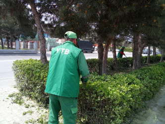 Xəzər rayonunda “WUF13” – Ümumdünya Şəhərsalma Forumu çərçivəsində abadlıq və yaşıllaşdırma tədbirləri davam etdirilir