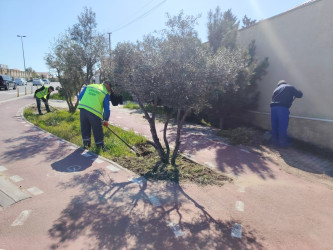 Xəzər rayonunda növbəti genişmiqyaslı təmizlik və abadlıq işləri həyata keçirilib