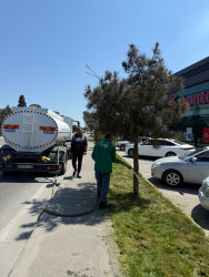 Xəzər rayonunda növbəti genişmiqyaslı təmizlik və abadlıq işləri həyata keçirilib