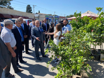 Xəzər rayonunda qanunsuz küçə ticarətinin qarşısının alınması məqsədilə reydlər keçirilib