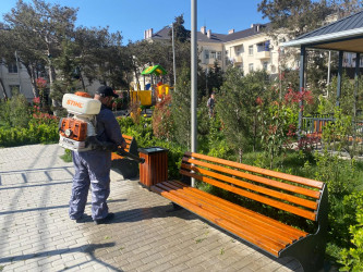 Xəzər rayonunda növbəti genişmiqyaslı təmizlik və abadlıq işləri həyata keçirilib