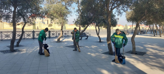 Xəzər rayonunda növbəti genişmiqyaslı ümumrayon iməcliyi keçirilib