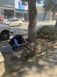 Xəzər rayonunda növbəti ümumrayon iməcliyi keçirilib