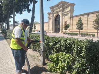 Növbəti genişmiqyaslı ümumrayon iməcliyi keçirilib