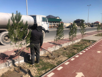 Xəzər rayonunda abadlıq-quruculuq və yaşıllaşdırma işləri davam etdirilir